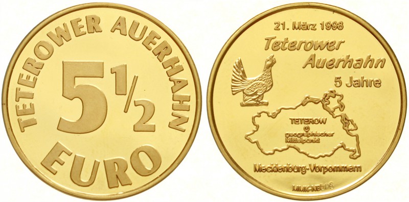 Euro
Euro-Vorläufer
Teterow 5 1/2 Euro 1998, 15,04 g. 585/1000 (gepunzt), Tete...
