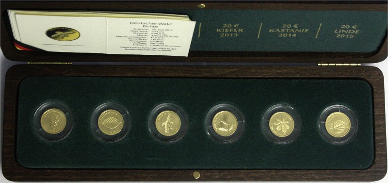 Euro
Gedenkmünzen, ab 2002
Komplettset mit 6 X 20 Euro Deutscher Wald: 2010 F ...