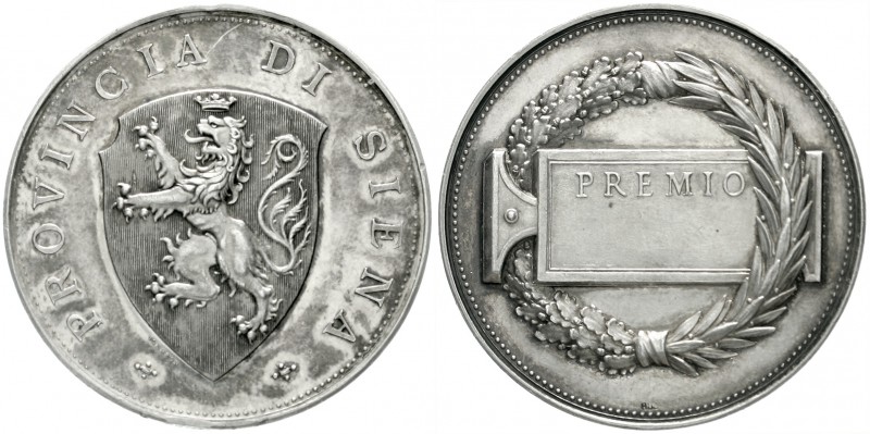 Italien-Siena
Silberne Prämienmedaille o.J. von Johnson. Provinz Siena. 44 mm; ...