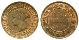 Kanada
Victoria, 1837-1901
Cent 1876 H. vorzüglich/Stempelglanz