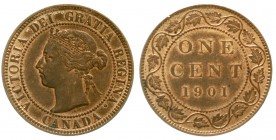 Kanada
Edward VII., 1901-1910
Cent 1901. fast Stempelglanz, Prachtexemplar
