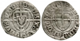 Deutscher Orden
Paul von Rußdorf, 1422-1441
Schilling o.J. Hochmeisterschild/Ordensschild.
sehr schön