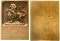 Hessen-Wiesbaden, Stadt
Bronzeguss-Siegerplakette 1930 (graviert) des SC Wiesbaden 1911 dem Sieger beim Stromschwimmen. 76 X 55 mm.
sehr schön/vorzü...