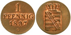 Sachsen-Albertinische Linie
Friedrich August II., 1836-1854
1 Pfennig 1837 G. fast Stempelglanz
