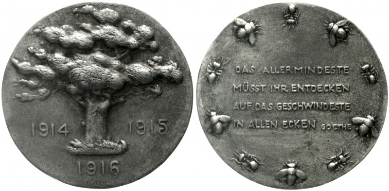 Erster Weltkrieg
Eisengussmedaille von Gaul 1916 (hrsg. v. Roten Kreuz). Baum/G...