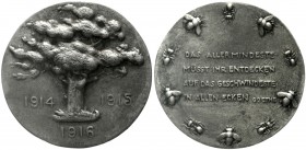 Erster Weltkrieg
Eisengussmedaille von Gaul 1916 (hrsg. v. Roten Kreuz). Baum/Goethezitat. 70 mm.
vorzüglich