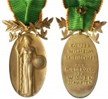 Universitäten und Schulen
Ovale, vergoldete Silbermedaille an Kranzspange mit Band. Kaiser-Wilhelm-Gesellschaft zur Förderung der Wissenschaften. 44 ...