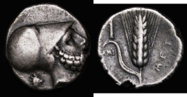 Ancient Greece - Metapontum, Lucania Silver Stater (c.340-330BC) Obverse: head of Leukippos right wearing Corinthian helmet, head of lion right behind...