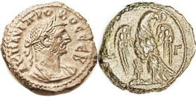 PROBUS, Egypt Tet, L-Gamma, Eagle facg, head r; Choice VF-EF, well centered & struck, smooth medium brown. Scarce with eagle facg. (Same variety, VF, ...