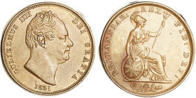 William IV, 1/2 Penny 1831, Nice brown AU, sharply struck. (A NEF sold for $336, Baldwin's 9/12.)