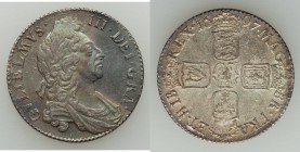 William III Shilling 1697 AU, KM485.1. 25mm. 6.08gm. Florescent toning over prooflike surface. From the Engelen Collection of World Coinage

HID098012...