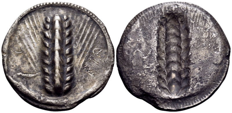 LUCANIA. Metapontion. Circa 540-510 BC. Stater (Silver, 28 mm, 7.57 g, 12 h). ME...