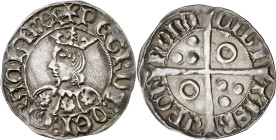 Pere III (1336-1387). Barcelona. Croat. (Cru.V.S. 415) (Badia 274, mismo ejemplar) (Cru.C.G. 2221). Anv.: PETRUSDEIGRACIAREX. Rev.: Roel en 2º y 3er c...