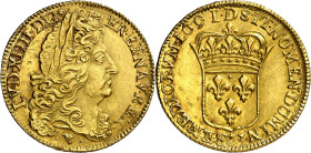* Francia. 1691. Luis XIV. D (Lyon). 2 luises de oro. (Fr. 428) (KM. 280.3). Bella. Rara y más así. AU. 13,38 g. EBC/EBC+. Moneda exenta del pago de t...