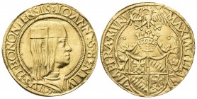 BOLOGNA. Giovanni II Bentivoglio, 1463-1506. Doppio Ducato. Au, gr. 6,82. Dr. IOANNES BENTIV - O LVS II BONONIENSIS. Busto con berretto a d. Rv. MAXIM...