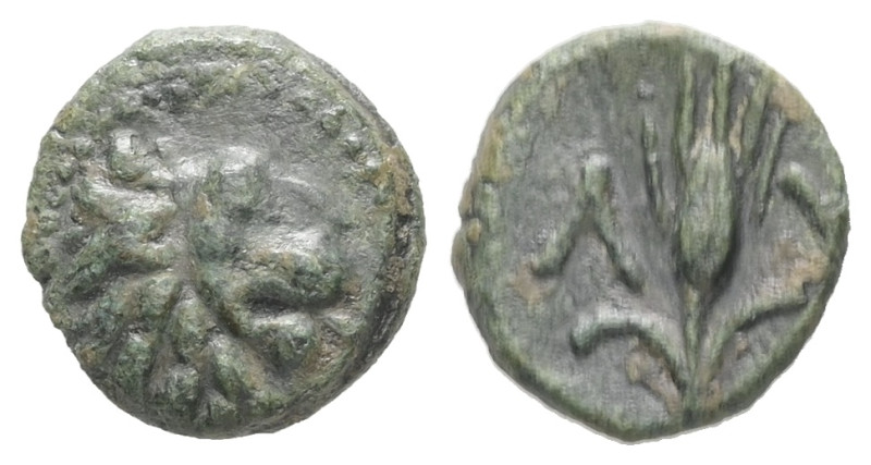 Thrace, Lysimacheia. AE. 1.02 g. - 10.65 mm. Circa 309-220 BC.
Obv.: Head of lio...