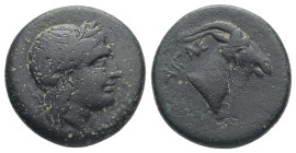 Aeolis, Aigai. AE. 4.05 g. - 17.37 mm. 4th-3rd centuries BC.
Obv.: Laureate head of Apollo right.
Rev.: AIΓΑΙ. Head of goat right.
Ref.: SNG von Auloc...