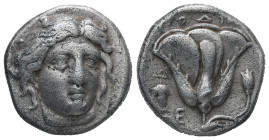 Caria, Rhodos. AR, Drachm. 6.69 g. - 18.81 mm. Circa 340-316 BC.
Obv.: Head of Helios facing slightly to right.
Rev.: POΔI[ON]. Rose with bud to right...