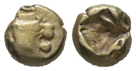 Lydia, Alyattes. EL Hemihekte - 1/12 Stater. 1.14 g. - 7.87 mm. Circa 610-560 BC. Lydo-Milesian standard, Sardes, uninscribed issues.
Obv: Head of lio...