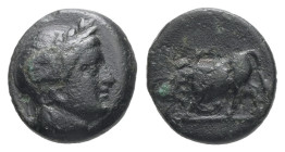 Mysia, Gambrion. AE. 0.88 g. - 9.77 mm. 4th century BC.
Obv.: Laureate head of Apollo to right.
Rev.: Bull butting left.
Ref.: SNG Copenhagen 156.
Nea...