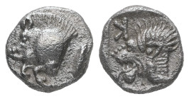 Mysia, Kyzikos. AR Obol. 0.78 g. - 9.28 mm. Circa 450-400 BC.
Obv.: Forepart of boar left; tunny to right.
Rev.: Head of roaring lion left; retrograde...