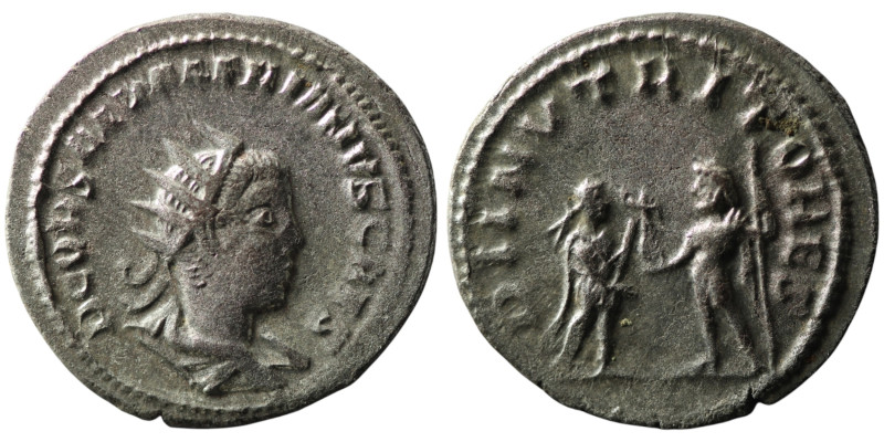 Saloninus, as Caesar (AD 258-260). Antioch
Antoninianus (22mm, 3,71g)