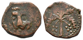 Italy, Sicily, Messina. Guglielmo II (1166-1189). Æ Trifollaro (23mm, 10.50g). Head of lion. R/ Palm tree. Spahr 117; MIR 36. Near VF