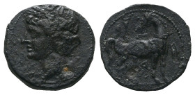 The Carthaginians in Sicily and North Africa, Carthage Unit circa 215-201 - Ex Naville Numismatics sale 62, 46.