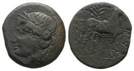 The Carthaginians in Sicily and North Africa, Carthage (?) Bronze circa III century BC