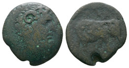 Kings of Numidia, Juba I, circa 60-46 Bronze circa 60-46