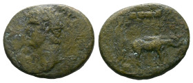 Phoenicia, Ace-Ptolemais Nero, 54-68 Bronze circa 54-68