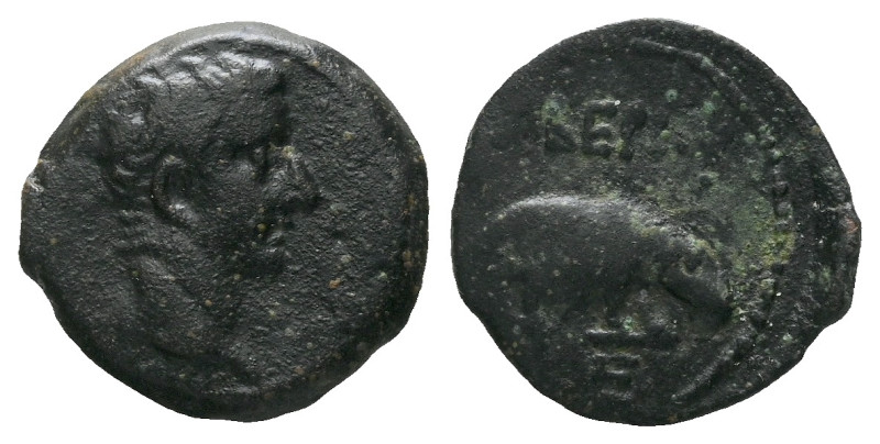 Egypt, Alexandria Tiberius, 14-37 Diobol Circa 14-37, Æ 20.00 mm., 5.84 g.