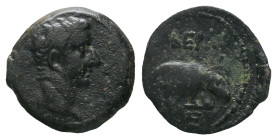 Egypt, Alexandria Tiberius, 14-37 Diobol Circa 14-37