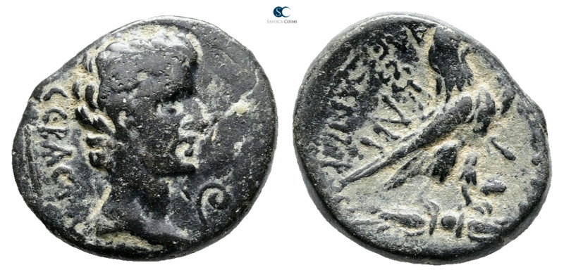 Phrygia. Amorion. Augustus 27 BC-AD 14. 
Bronze Æ

18 mm, 5,78 g



Very ...