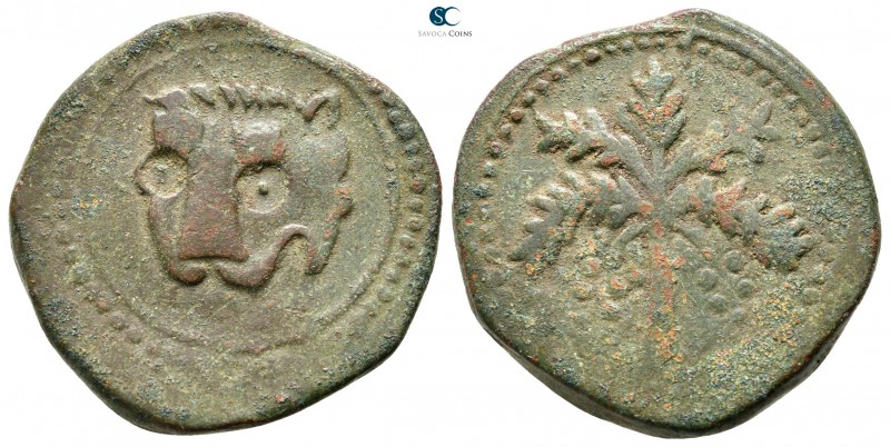 Guglielmo II AD 1166-1189. Messina
Trifollaro AE

25 mm.,10,27 g.



very...