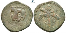 Guglielmo II AD 1166-1189. Messina. Trifollaro AE