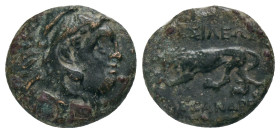 KINGS OF MACEDON. Kassander. (305-298 BC). AE. Condition: Good very fine Obv: Head of Herakles right, wearing lion skin Rev: BAΣIΛEΩΣ KAΣΣANΔΡOΥ, lion...