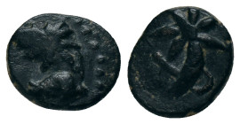 PONTUS. Uncertain. (130-100 BC). AE. Obv: Head of horse right, with star on neck Rev: Palm branch with tainia and star. HGC 317; SNG BM 984; SNG Stanc...