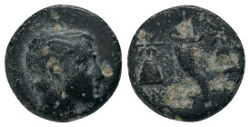PONTOS. Amaseia. Struck under Mithradates VI (120-111 or 110-100 BC). AE
Obv: Draped and winged bust of Perseus right.
Rev: ΑΜΑΣ - ΣΕΙΑΣ. Cornucopia...