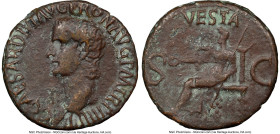 Gaius (Caligula) (AD 37-41). AE as (27mm, 7h). NGC VF, bent. Rome, AD 37-38. C CAESAR DIVI AVG PRON AVG P M TR P IIII P P, bare head of Caligula left ...