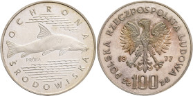 100 Zlotych 1977 MW PRÓBA (Patterns ) Enviromental potection - Fish