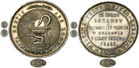 Medal Medical and Natural Exhibition Krakau 1900 - BEAUTIFUL