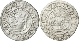 Silesia, City of Schweidnitz, Louis II of Hungary, 1/2 Groschen - DESTRUCT