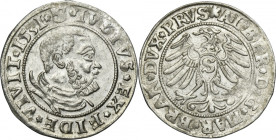 Duchy of Prussia, Albert Hohenzollern, Groschen Königsberg 1531 - PRVS