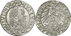 Duchy of Prussia, Albrecht Hohenzollern, Groschen Königsberg 1546
