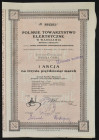 Polskie Towarzystwo Elektryczne S.A., 350 mkp, Emisja VIII