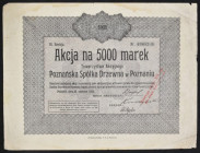 Poznańska Spółka Drzewna S.A., 5.000 mkp, Emisja VI