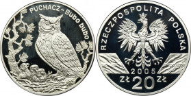 20 złotych 2005 Puchacz