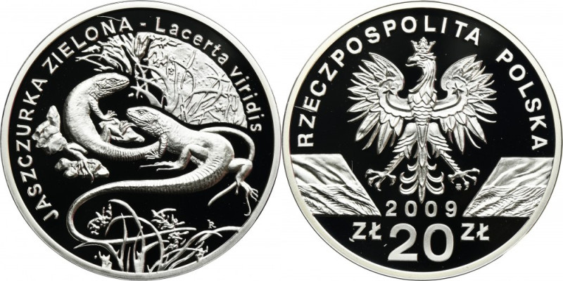 20 złotych 2009 Jaszczurka Zielona Moneta wybita stemplem lustrzanym.
 Nakład 1...
