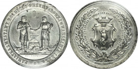 Medal on the occasion of the Agricultural-Industrial Exhibition in Warsaw in 1885